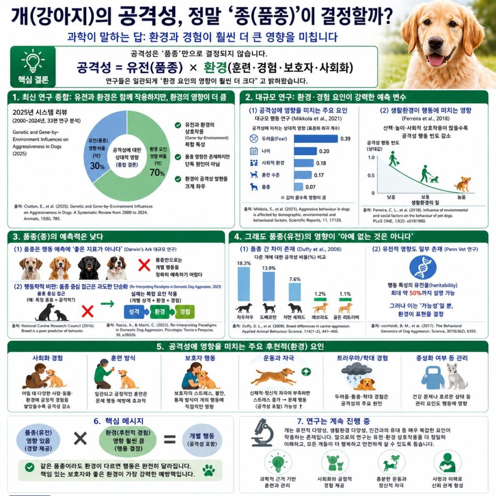 개의 공격성