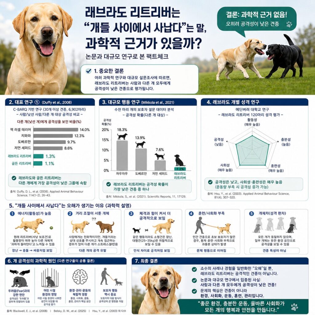 래브라도 공격성